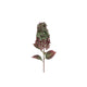 Countryfield kunstbloem aletta paniculata hydrangea groen 14x23x83cm