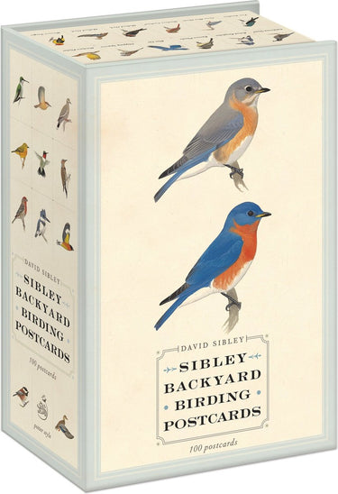 Isbn sibley backyard birding postcards