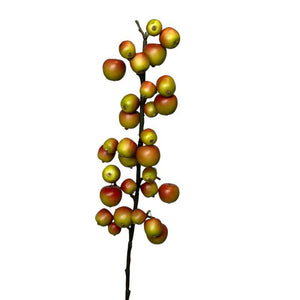 Roberts collection malus tak small 70cm groen rood appelboomtak