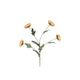 Countryfield kunsttak chrysanthemum beige 20xh83,8cm