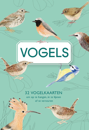 Uitgeverij snor vogels