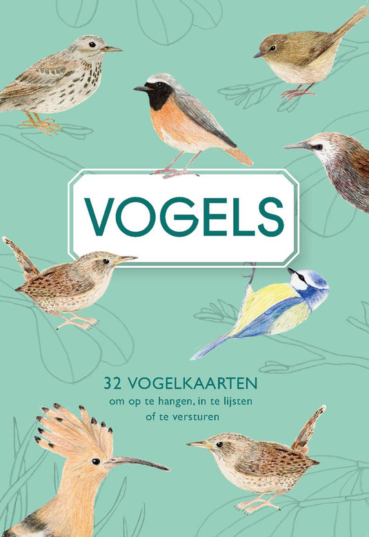 Uitgeverij snor vogels