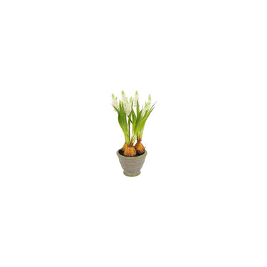 Countryfield kunstbloem in pot muscari wit 12x17x28cm