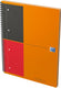 Oxford international notebook a4+ gelijnd 4 gaats 80 vel 80g stevige kartonnen kaft oranje