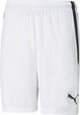 Puma teamliga shorts heren sportbroek - white- black m