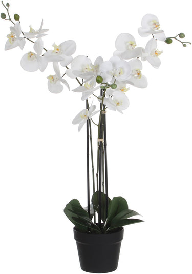 Mica decorations orchidee bloem kunstplant - wit - h75 x b50 cm