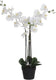 Mica decorations orchidee bloem kunstplant - wit - h75 x b50 cm