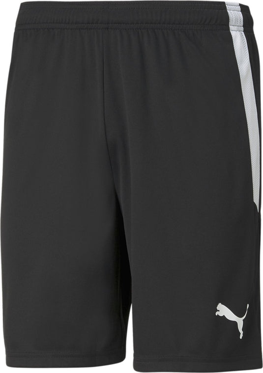 Puma teamliga shorts heren sportbroek - black- white