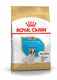 Royal canin french bulldog - 3 kg - puppy-hondenvoer