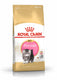 Royal canin persian kitten - 10 kg - kattenvoer