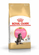 Royal canin roya canin maine coon kitten - kattenvoer - 2kg
