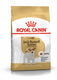 Royal canin jack russell terrier adult - 1.5 kg - hondenvoer