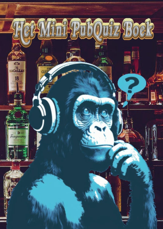 Het mini pubquiz boek