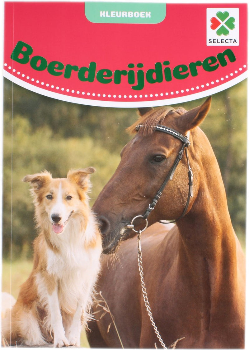 Load image into Gallery viewer, Selecta tactic boerderijdieren kleurboek - 48 pagina's - kleurboek voor kinderen - boerderij - vanaf 2 jaar
