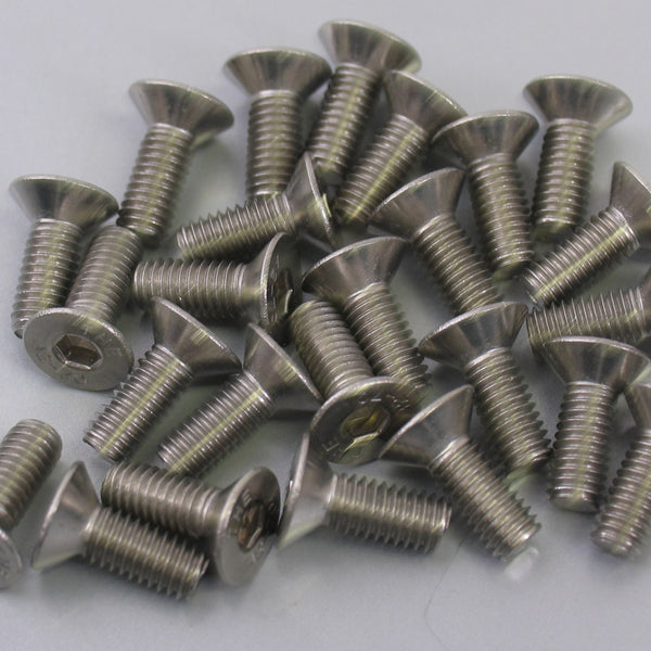 Allen screw M6x16 Bofix stainless steel with countersunk head (25 pieces)