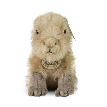 Pluche capybara 18 cm eco-vriendelijk