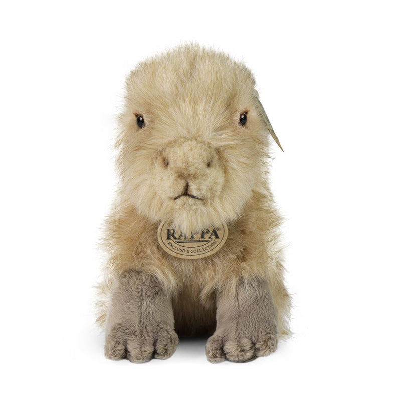 Load image into Gallery viewer, Pluche capybara 18 cm eco-vriendelijk
