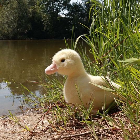 Pluche eend 24 cm eco-vriendelijk