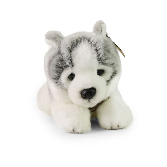 Pluche husky 24 cm eco-vriendelijk