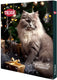 Trixie adventskalender premio kat - kattensnacks