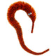 Ty magic twis wild life assorti | 48 stuks