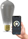 Calex slimme lamp - wifi led filament verlichting - e27 - rustiek smart bulb titanium - dimbaar - warm wit licht - 7w