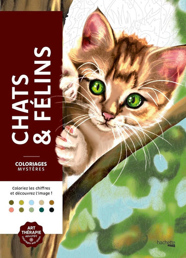 Hachette heroes coloriages mystères - chats félins - kleuren op nummer kleurboek voor volwassenen en kinderen