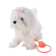 Overige merken wandelende hond met riem