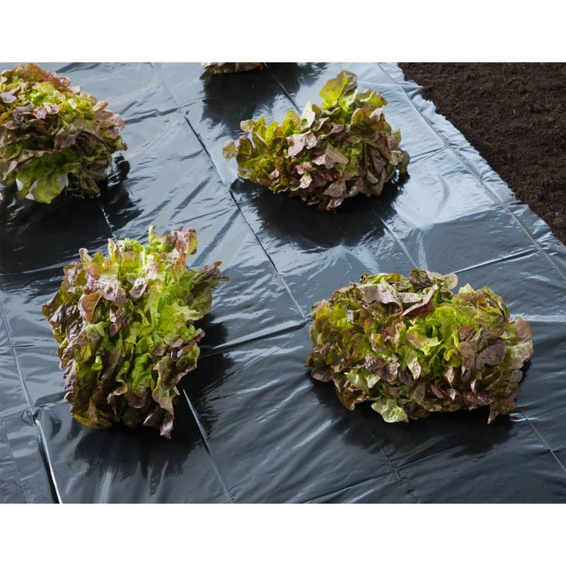 Load image into Gallery viewer, Nature afdekfolie 4x6 m 50µ zwart
