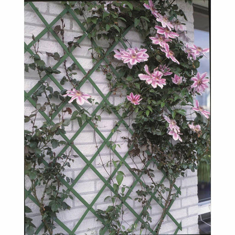 Load image into Gallery viewer, Nature tuinlatwerk 50x150 cm pvc groen 6040702
