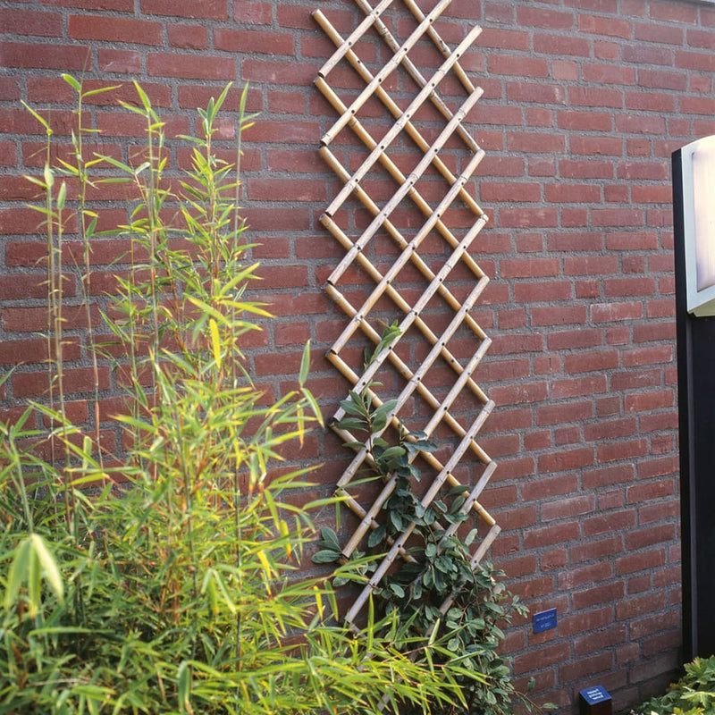 Load image into Gallery viewer, Nature latwerk voor tuin 70x180 cm bamboe 6040721
