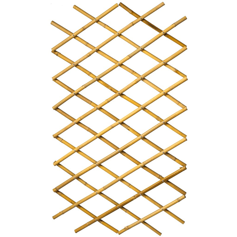 Load image into Gallery viewer, Nature latwerk voor tuin 100x200 cm bamboe 6040722
