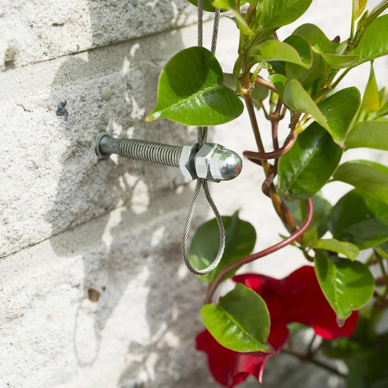 Load image into Gallery viewer, Nature spandraadsysteem voor klimplanten 6040760
