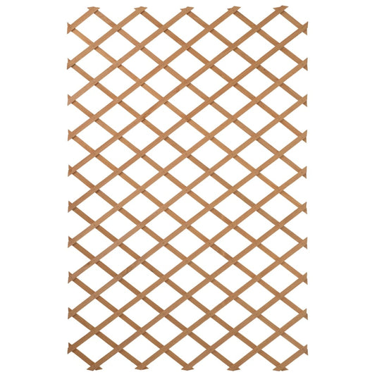 Nature tuinlatwerk 50x150 cm hout natuurlijk