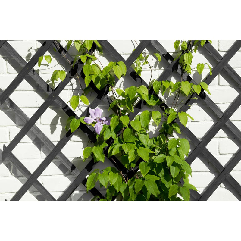 Load image into Gallery viewer, Nature tuinlatwerk 50x150 cm hout antracietkleurig
