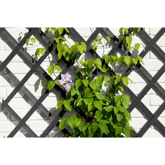 Nature tuinlatwerk 50x150 cm hout antracietkleurig
