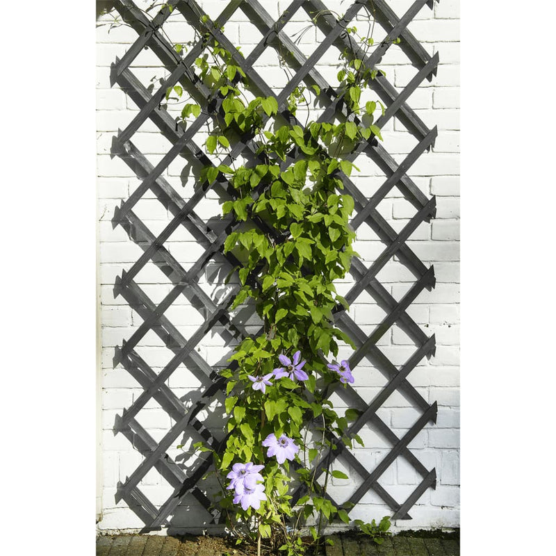 Load image into Gallery viewer, Nature tuinlatwerk 50x150 cm hout antracietkleurig

