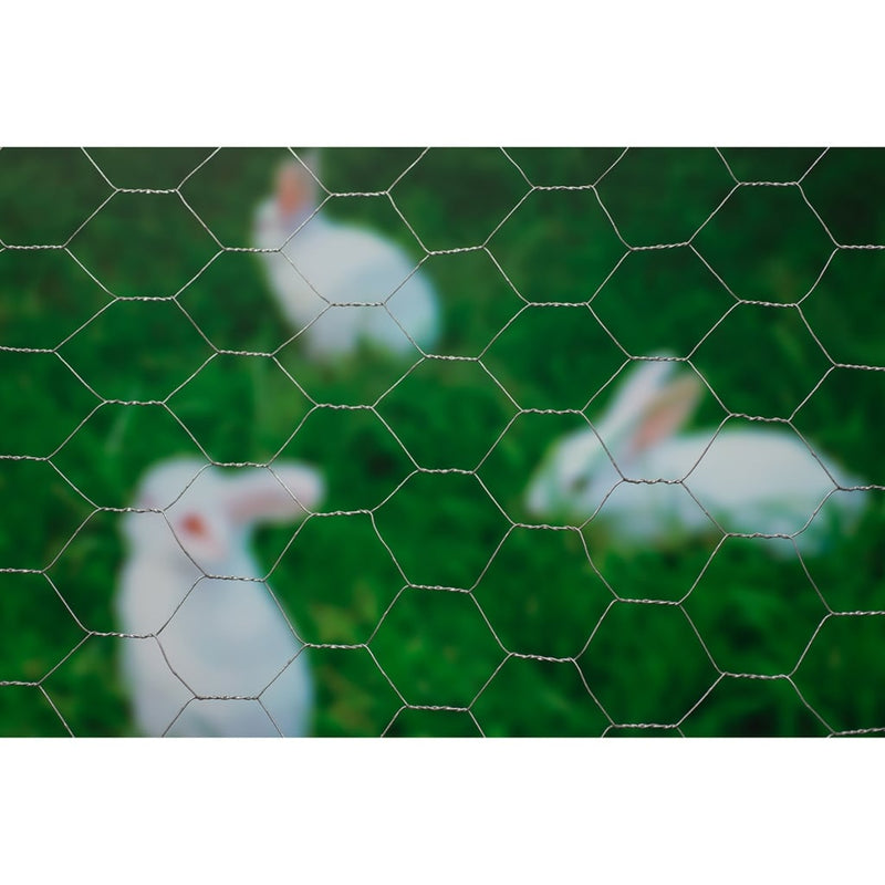 Load image into Gallery viewer, Nature gaas zeshoekig 1x10 m 25 mm gegalvaniseerd staal
