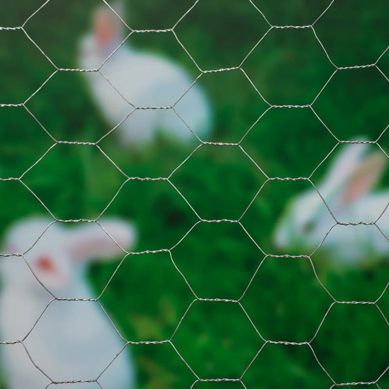 Load image into Gallery viewer, Nature gaas zeshoekig 1x10 m 40 mm gegalvaniseerd staal
