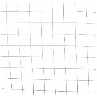 Nature Nature Gaas vierkant 0,5x2,5 m 13 mm gegalvaniseerd staal