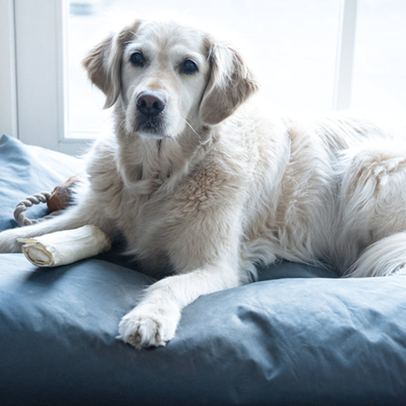 Load image into Gallery viewer, Hg alle nare geurtjes weg 0,5l
