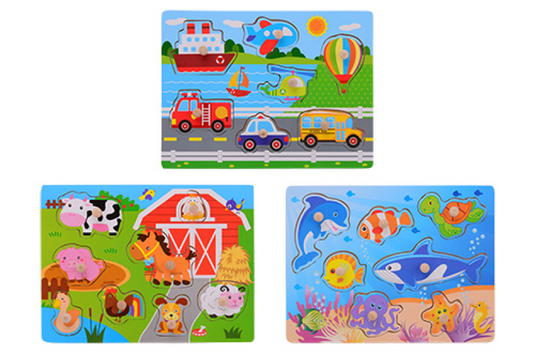 Johntoy houten knopjespuzzel + - 30x22cm 3 assorti