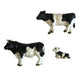 Dutch farm stier met koe en kalf