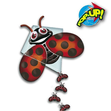 Rhombus pop-up lady bug vlieger
