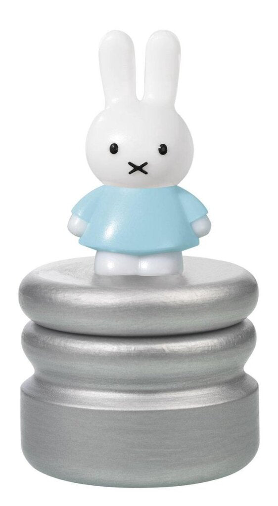 Load image into Gallery viewer, Bambolino toys nijntje melktandendoosje blauw zilver
