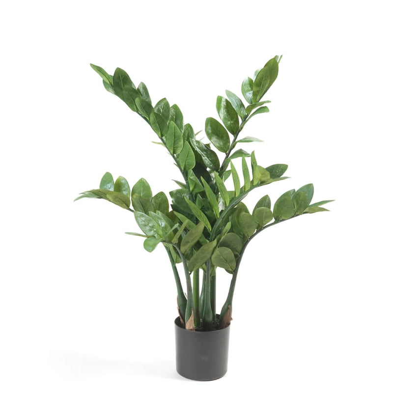 Load image into Gallery viewer, Emerald kunstplant zamioculcas 70 cm
