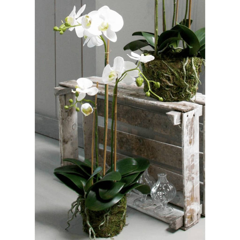Load image into Gallery viewer, Emerald kunstplant vlinderorchidee 70 cm wit
