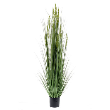 Emerald kunstplant graangras 150 cm