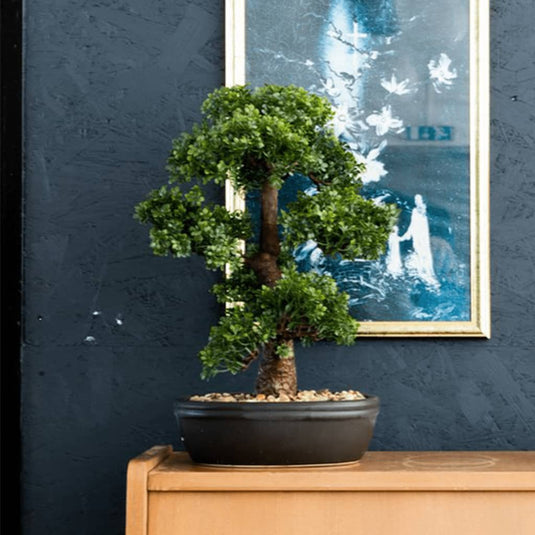 Emerald kunstplant in bruine pot ficus minibonsai 43 cm