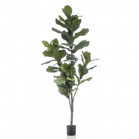 Emerald kunstplant vioolbladplant 160 cm